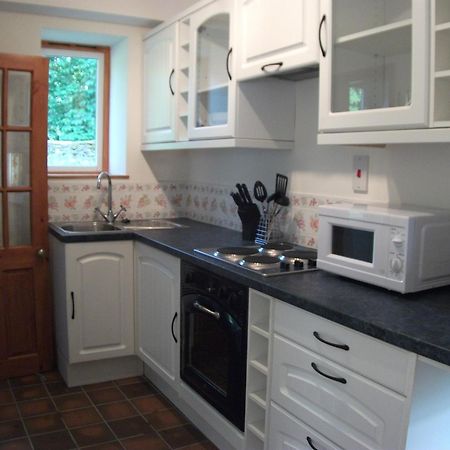 Bryn Cottage Llandderfel Kültér fotó